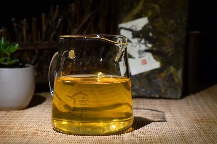 有茶油的普洱茶正常嗎？茶油是如何形成的？