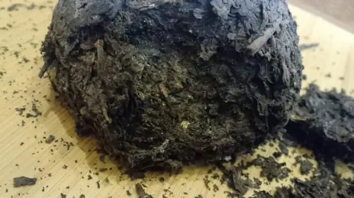 普洱茶蟲子怎么辦？