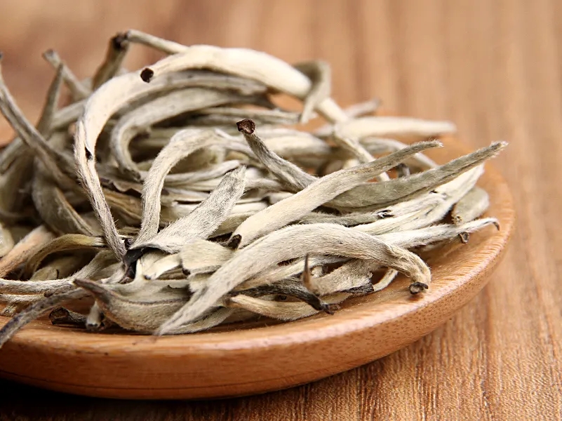 福鼎白茶、安吉白茶、云南月光白“三白”的區(qū)別