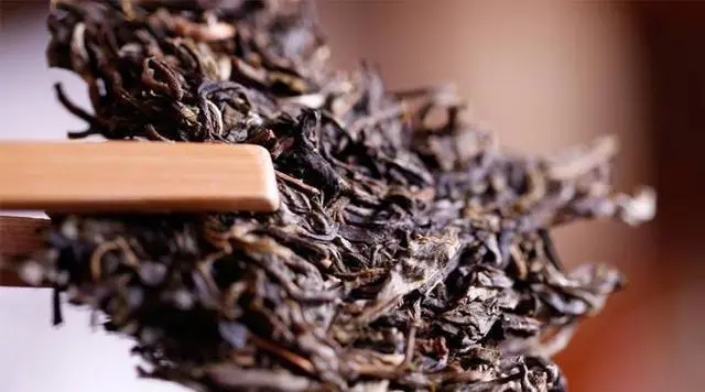 普洱生茶好還是普洱熟茶好喝？如何挑選適合自己的普洱茶？