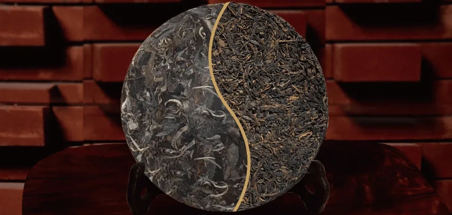 一入普門深似海？入普洱門前，你需要了解這些