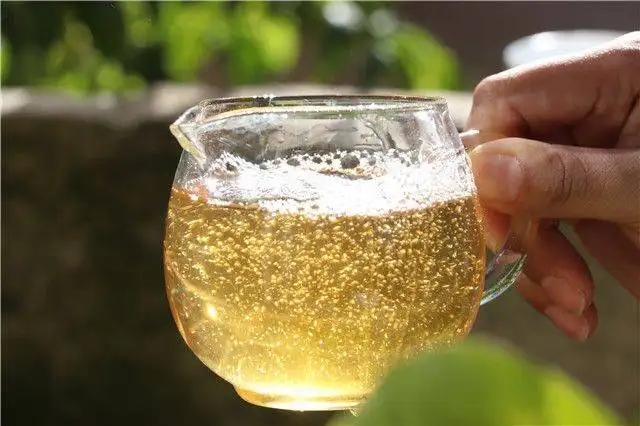 茶顏觀色”，看普洱茶條索里都蘊含著怎樣的“密碼”？