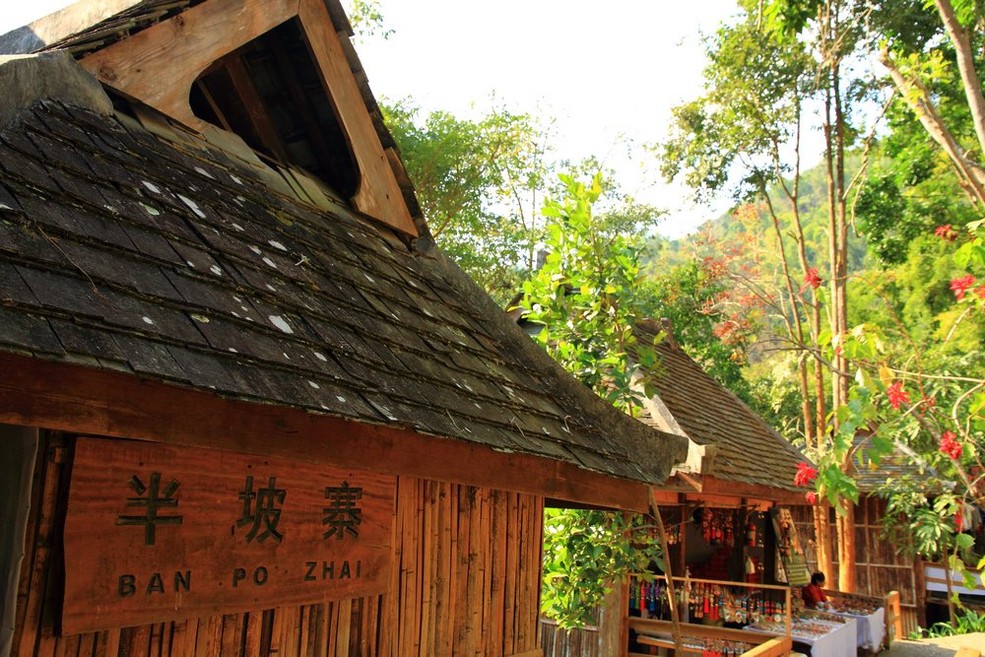 2023年半坡老寨古樹春茶特點？