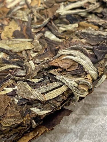 2023年拔瑪老寨古樹春茶特點是什么？