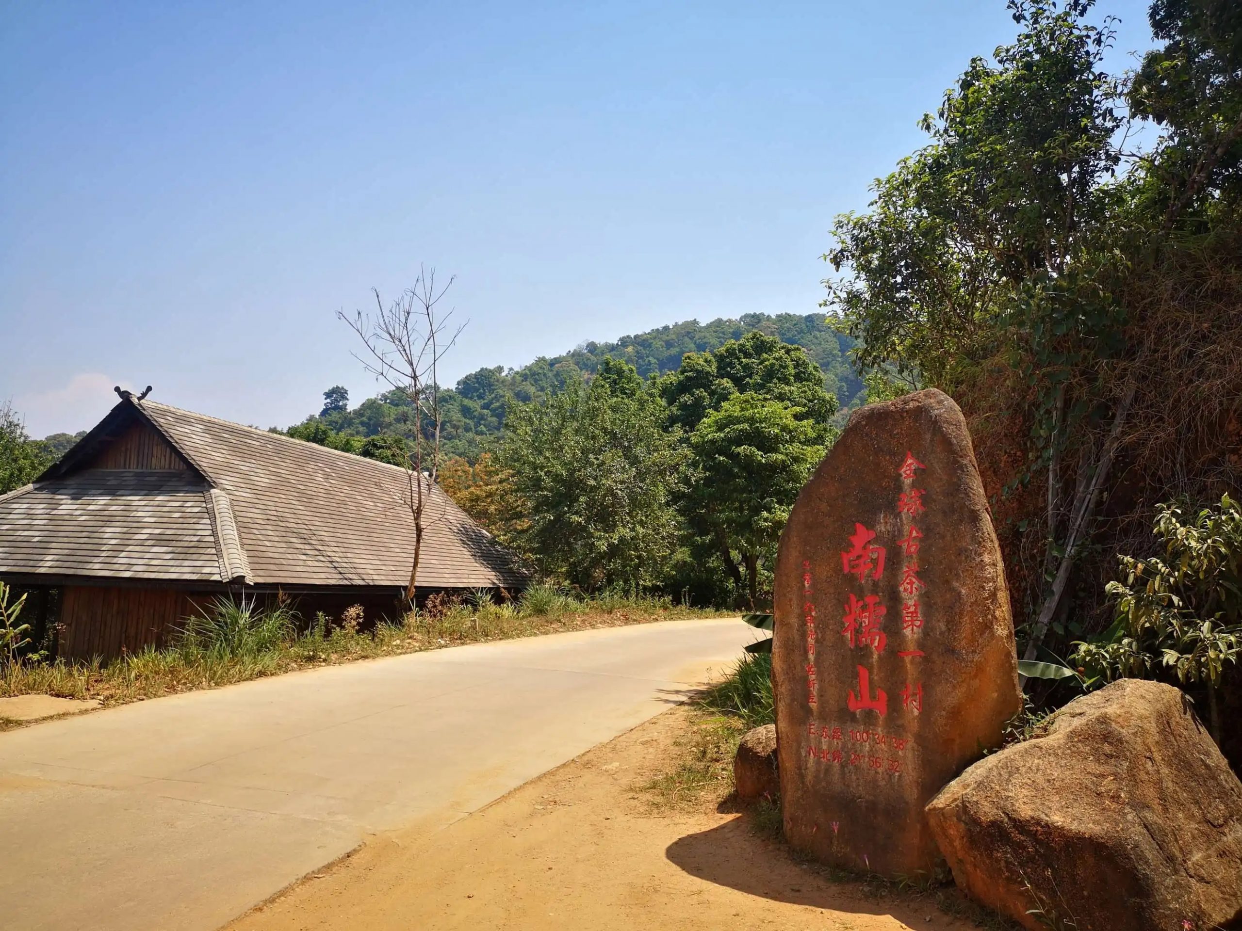 2023年南糯山古樹春茶品質(zhì)怎么樣？