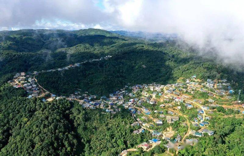 2023年帕沙古樹(shù)春茶口感怎么樣？