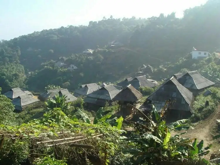 2023年帕沙古樹(shù)春茶多少一公斤？