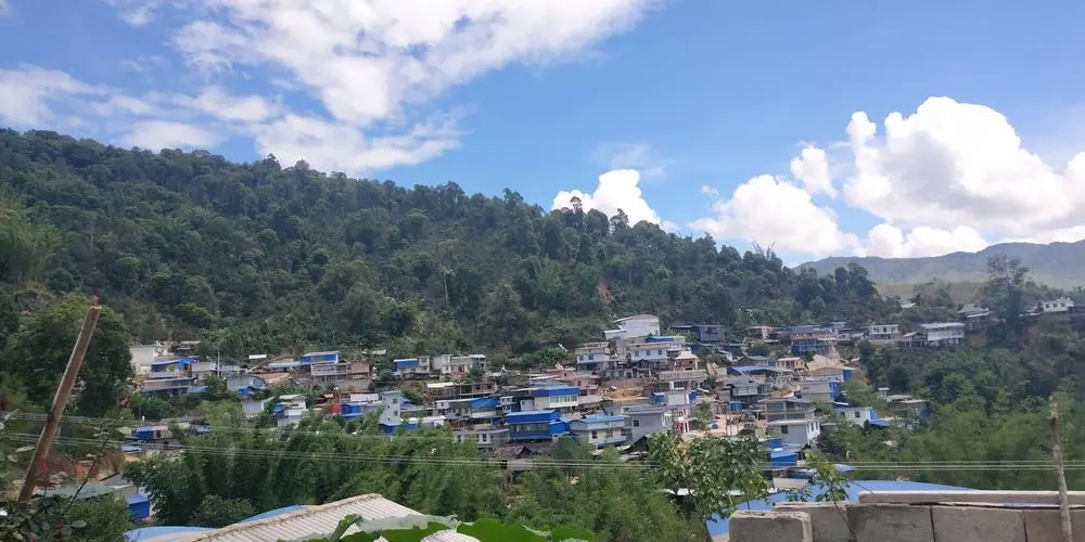 2023年那卡古樹春茶品質如何？