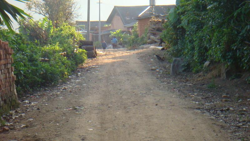 2023年保塘老寨古樹春茶價(jià)格是多少？