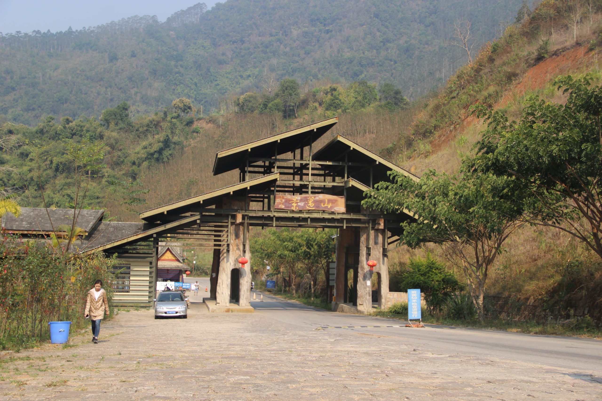 2023年景邁古樹春茶口感如何？