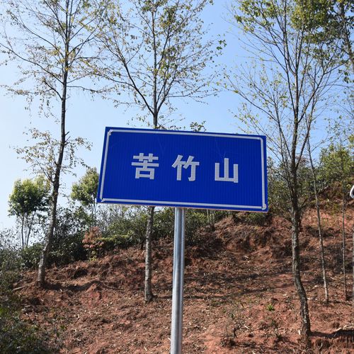 2023年苦竹山古樹(shù)春茶品質(zhì)如何？