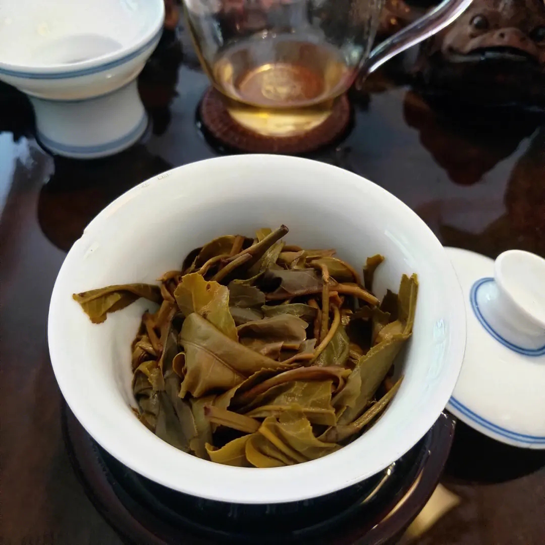 2023年昔歸古樹春茶口感如何？