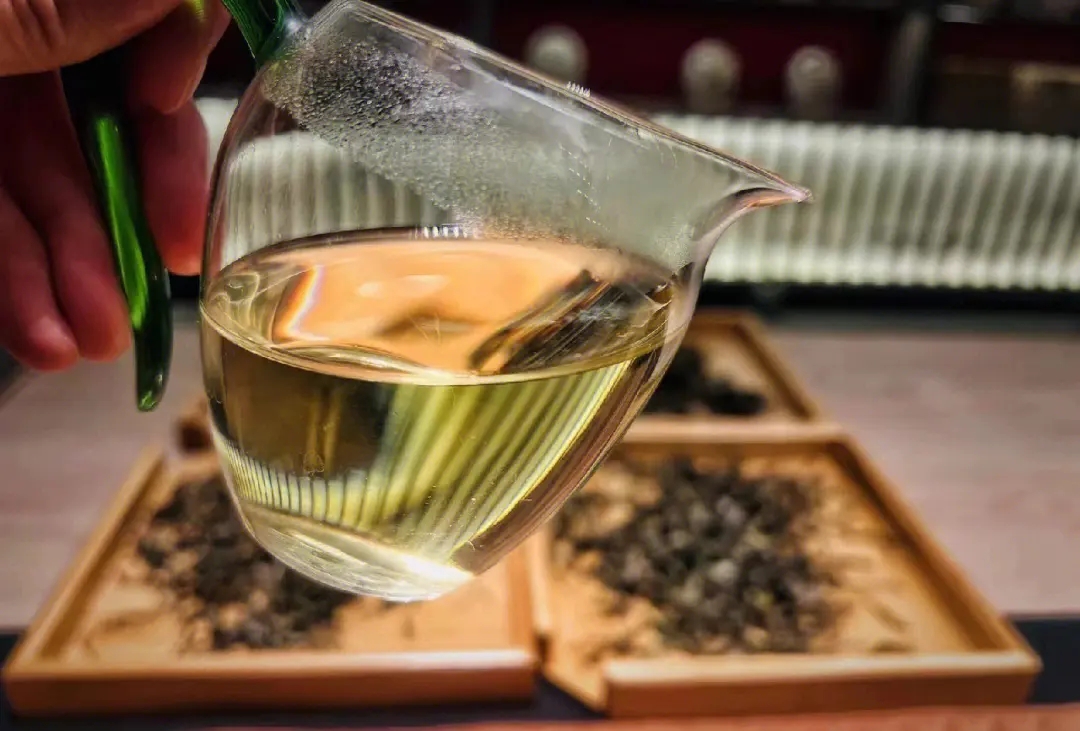 2023年鳳凰窩古樹(shù)春茶價(jià)格是多少？