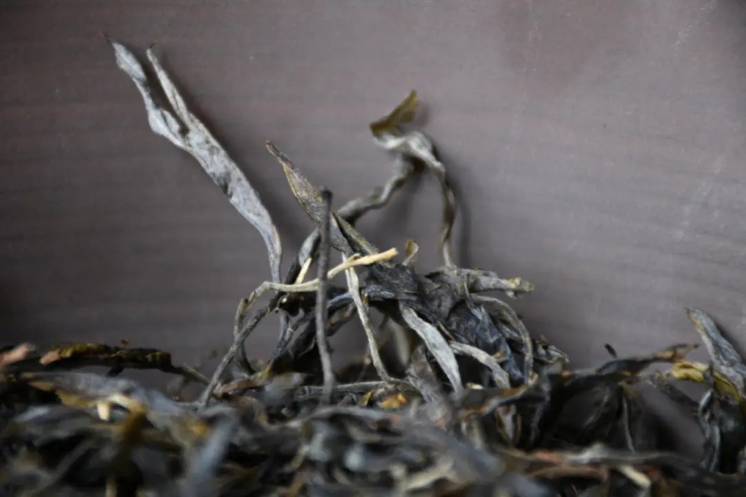 2023年正氣塘古樹春茶多少一公斤？