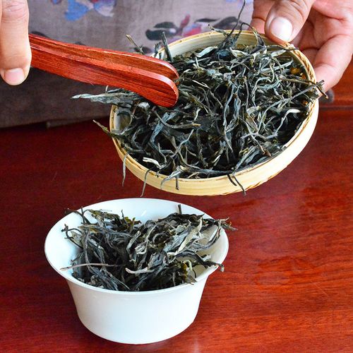 2023年地界古樹春茶口感是什么？