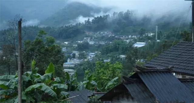 2023年勐庫豆腐寨古樹春茶口感怎么樣？