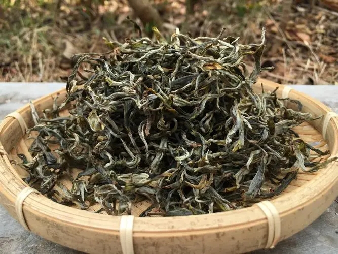 2023年易武張家灣古樹春茶品質(zhì)如何？