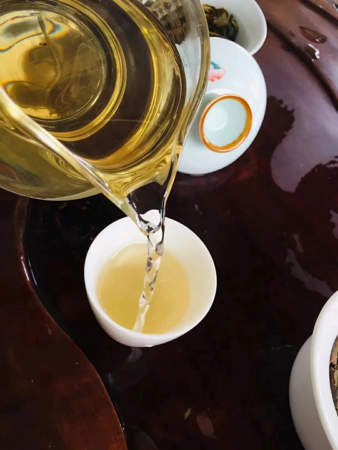 2023年鎮(zhèn)沅老海塘古樹春茶價(jià)格是多少？