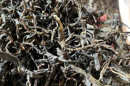 2023年鎮(zhèn)沅老烏山古樹春茶多少一公斤？