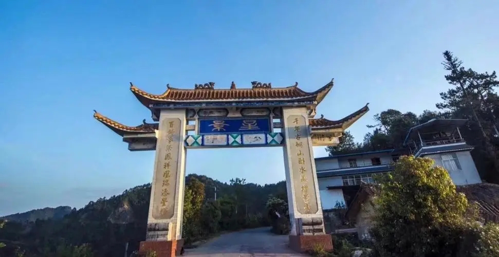 2024年墨江鳳凰窩古樹春茶特點是什么？