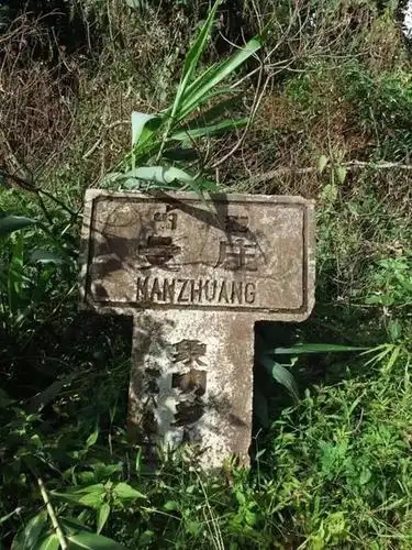 2025年蠻磚古樹春茶特點(diǎn)是什么？