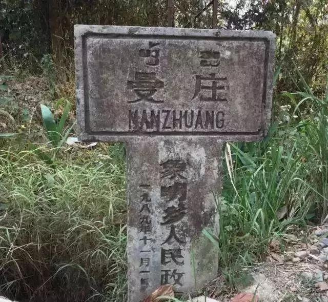 2025年蠻磚古樹春茶價格是多少？