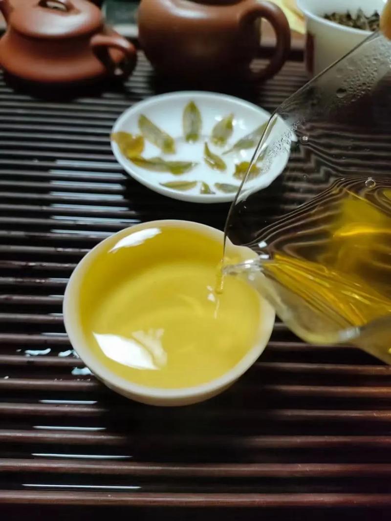 倚邦貢茶，甘甜醇柔